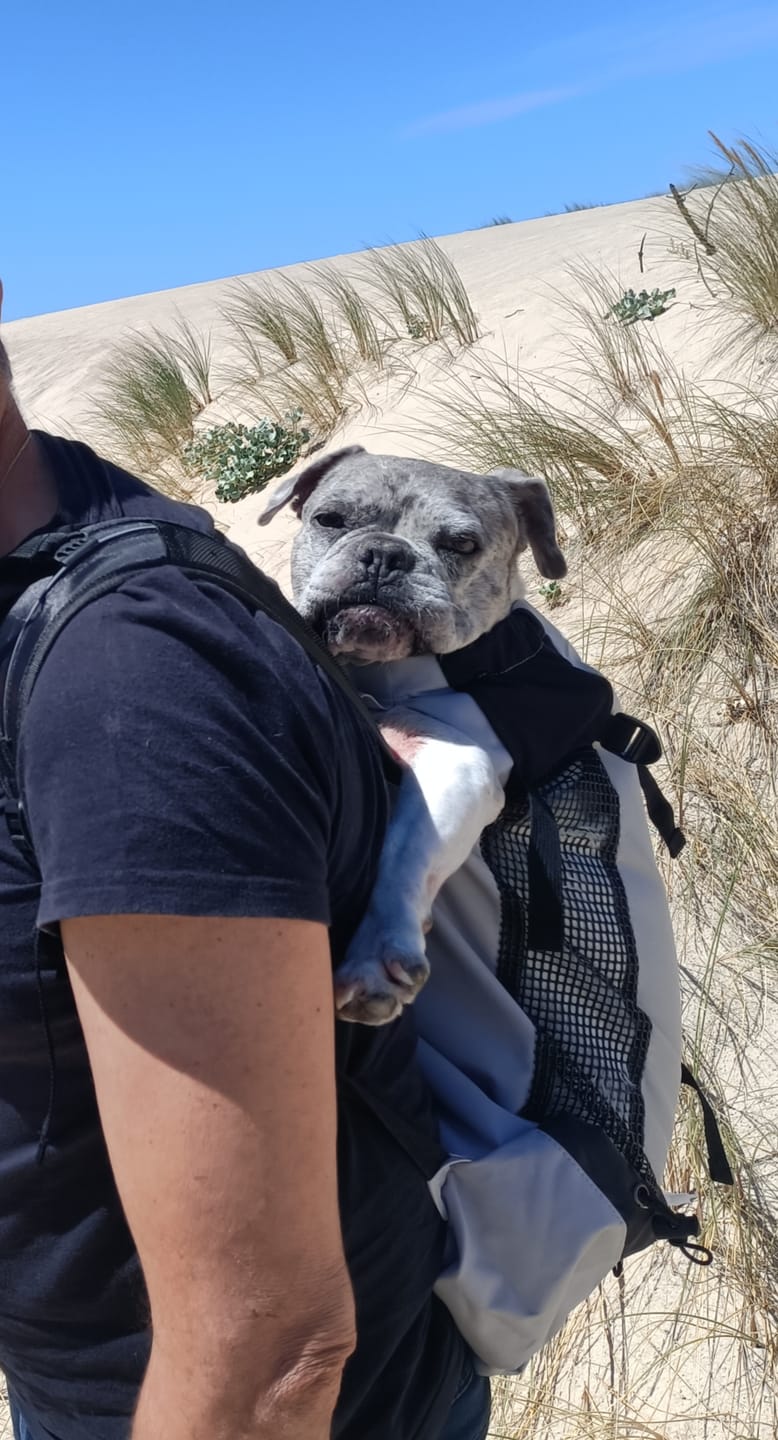 Customer photo review of Sac Porte Chien Randonnée