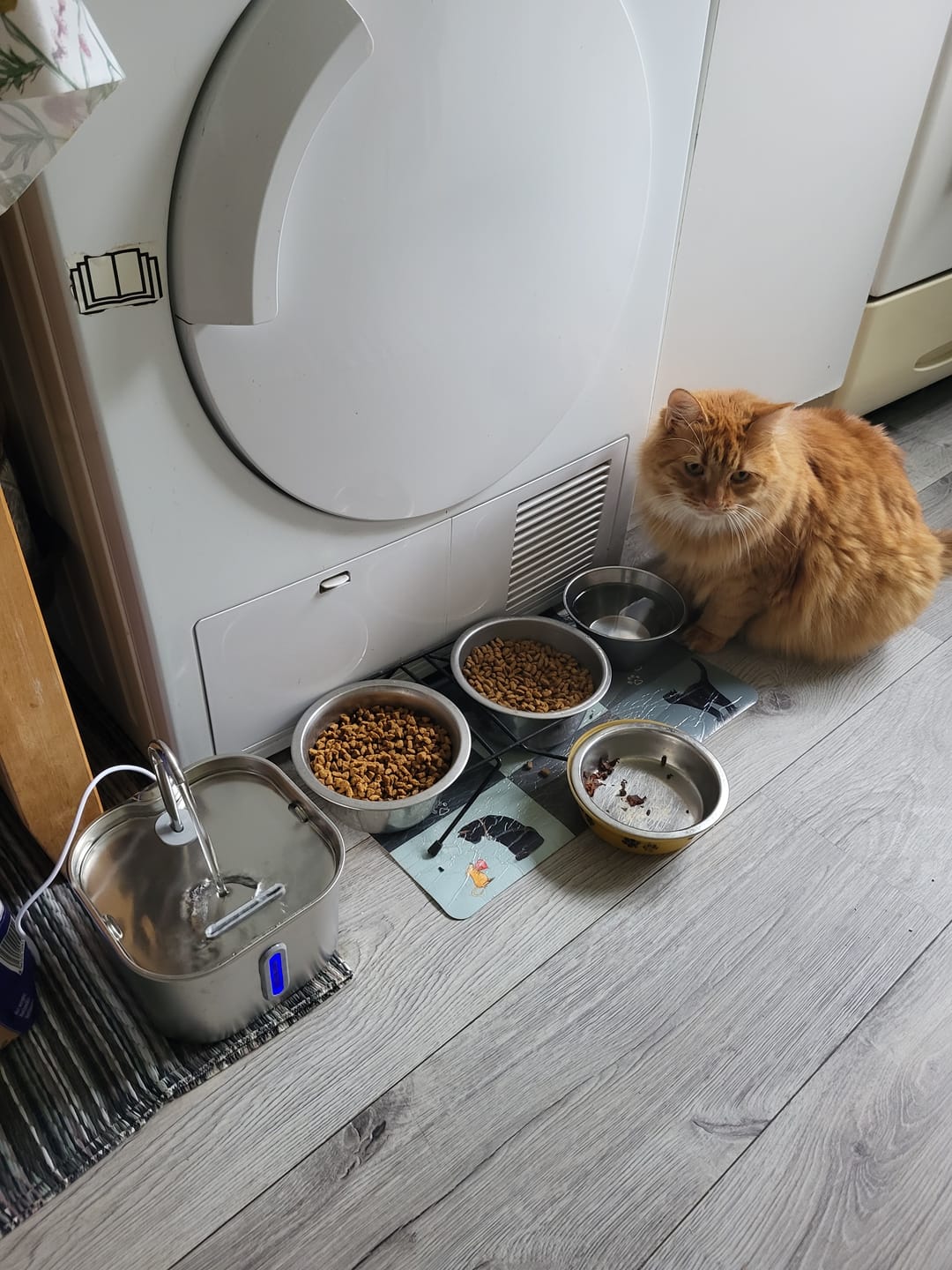 Customer photo review of VitaCat Drikkefontene - 2.2L