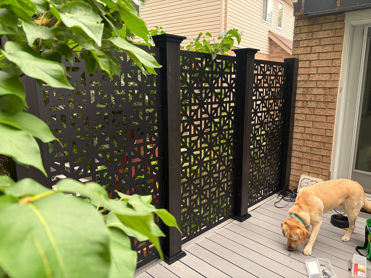 Customer photo review of Privacy Screen (Moderna)