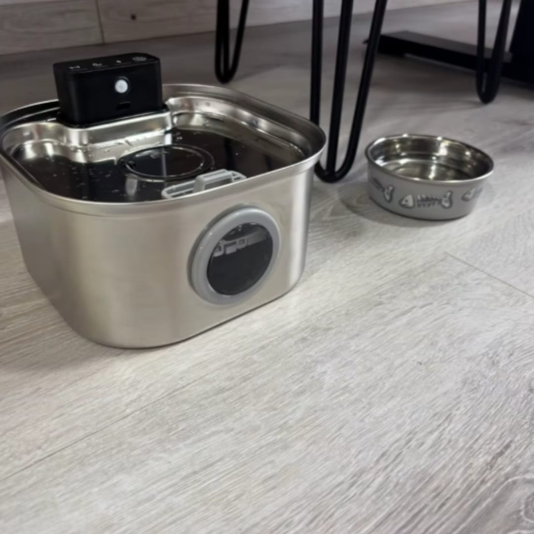 Customer photo review of PfotenBrunnen™ - Katzenwasserspender