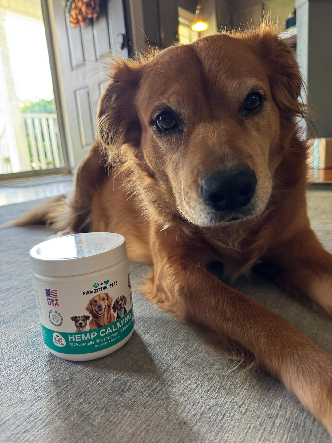 Customer photo review of Hemp Calming Chews for Dogs – 120 Soft Chews