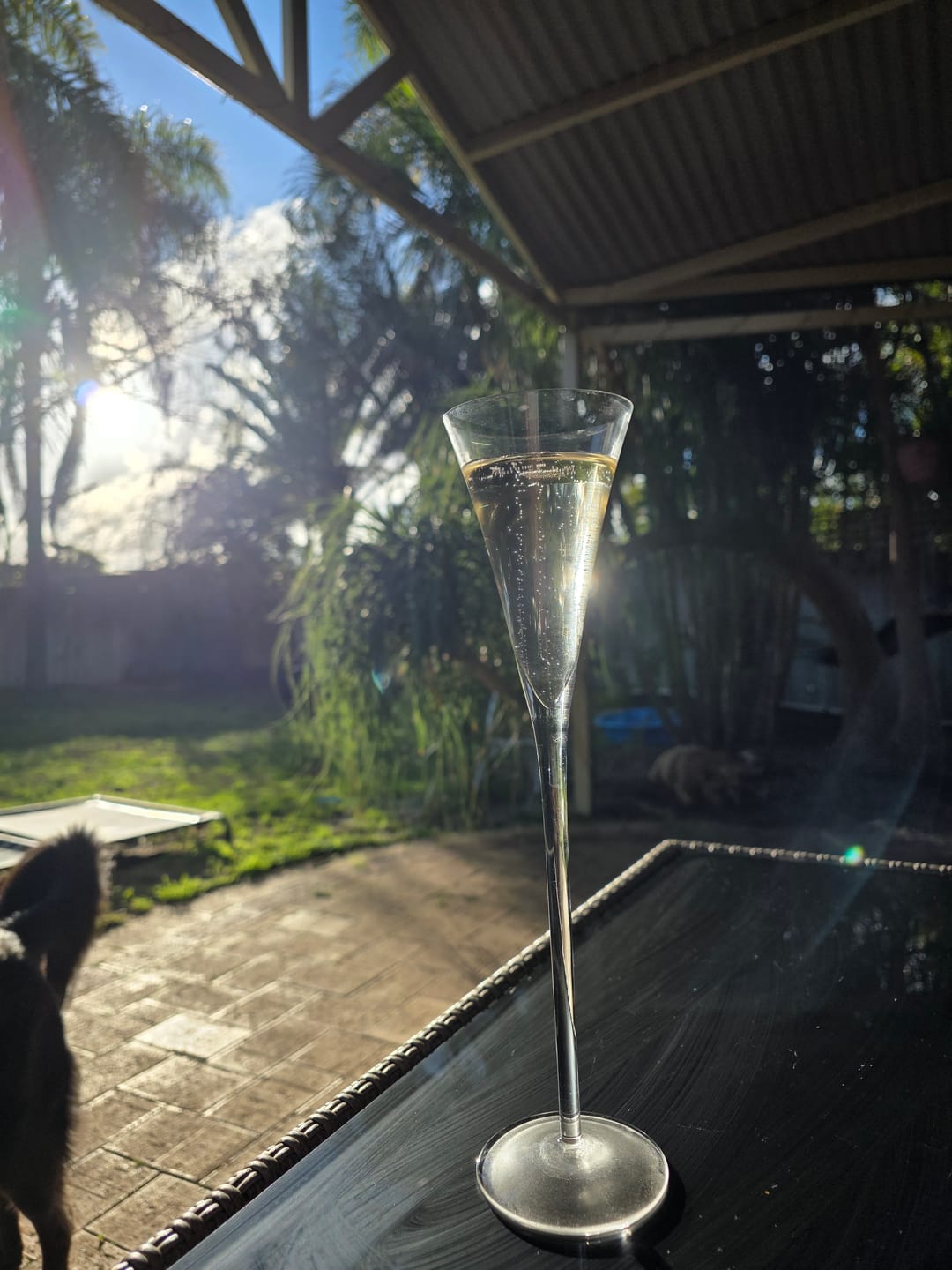 Customer photo review of Low Alcohol Sparkling - 6pk