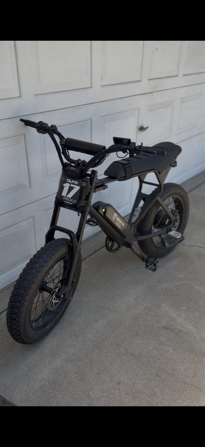 Customer photo review of Macfox X1S Commuter E-bike