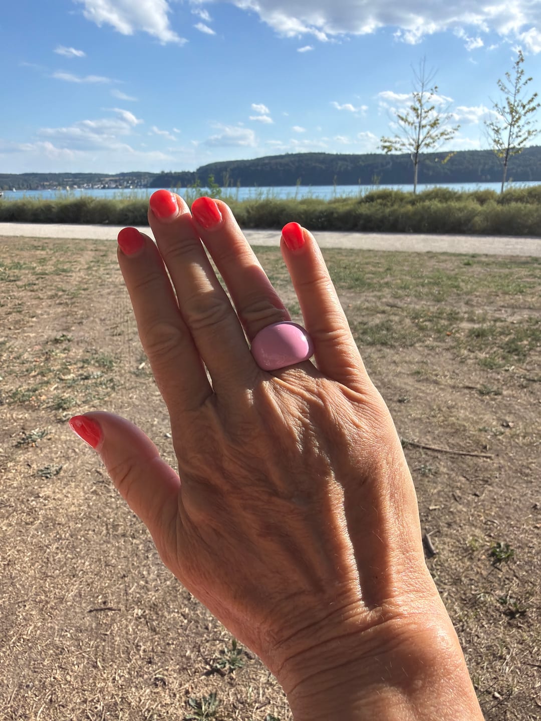 Customer photo review of Lava Drop SS Enamel Ring