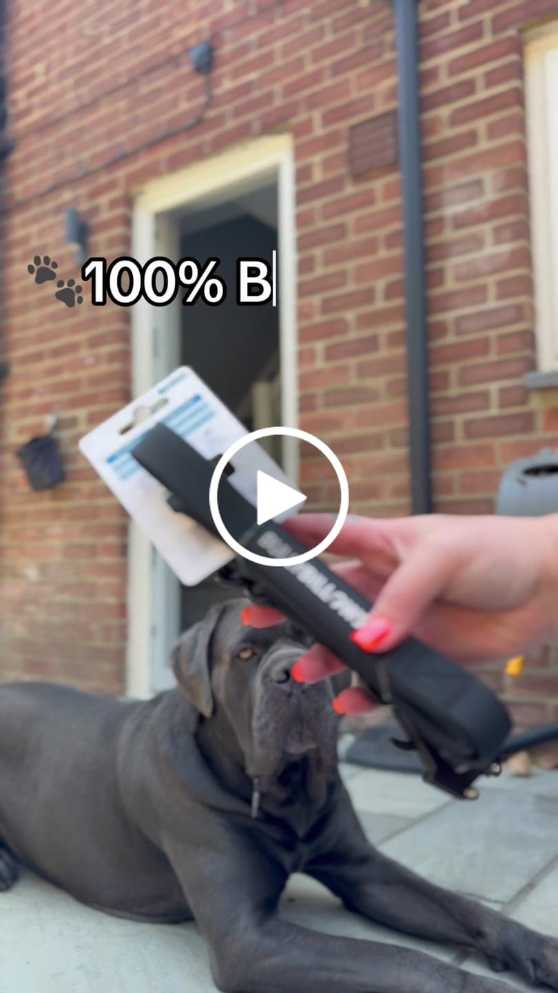 Customer video review of 1.4m Billowthane® Swivel Lead | Waterproof - Matte Black