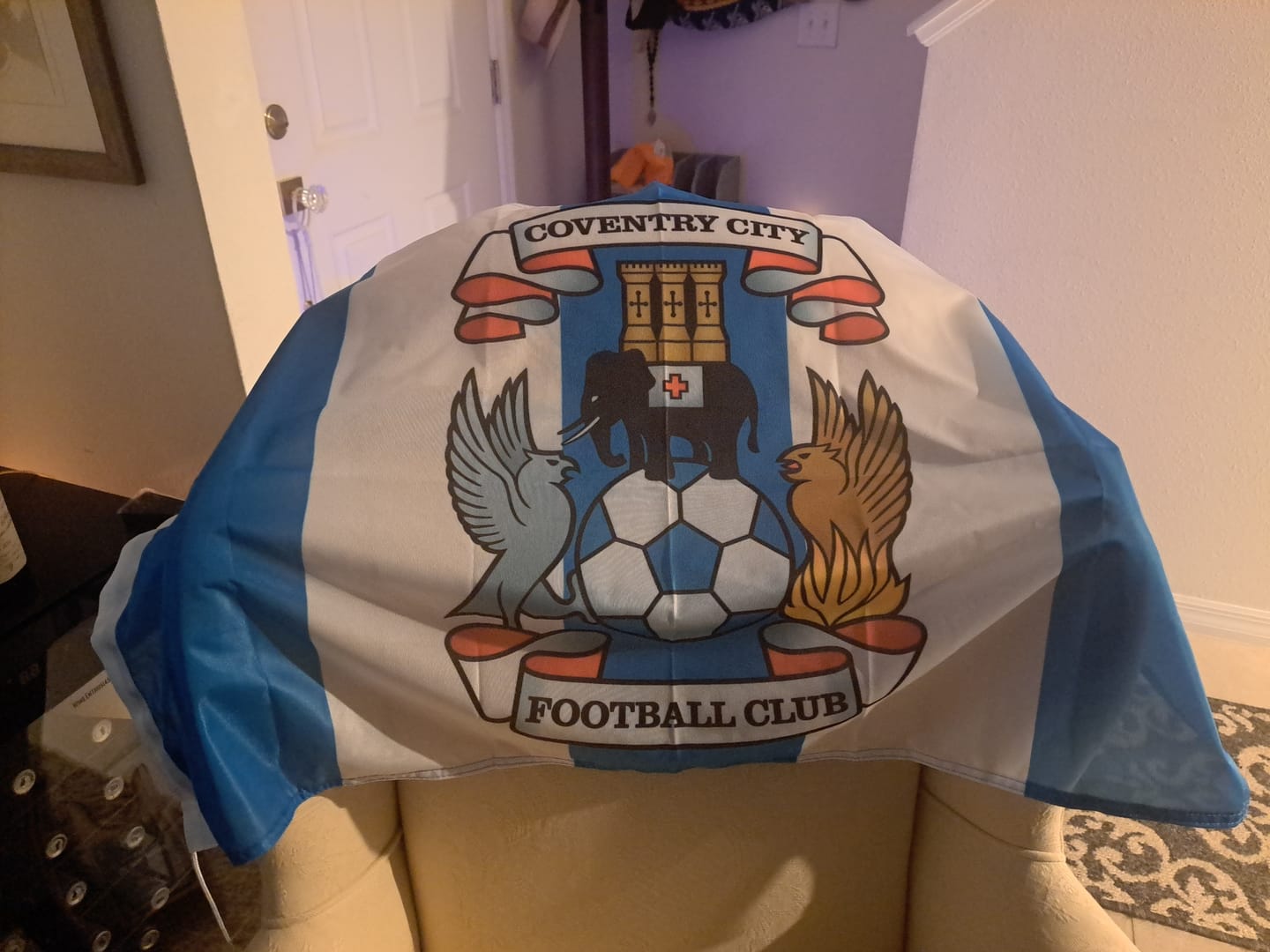 Customer photo review of Coventry City Football Club Flag