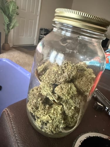 Truffle - Bulk - Indica photo review
