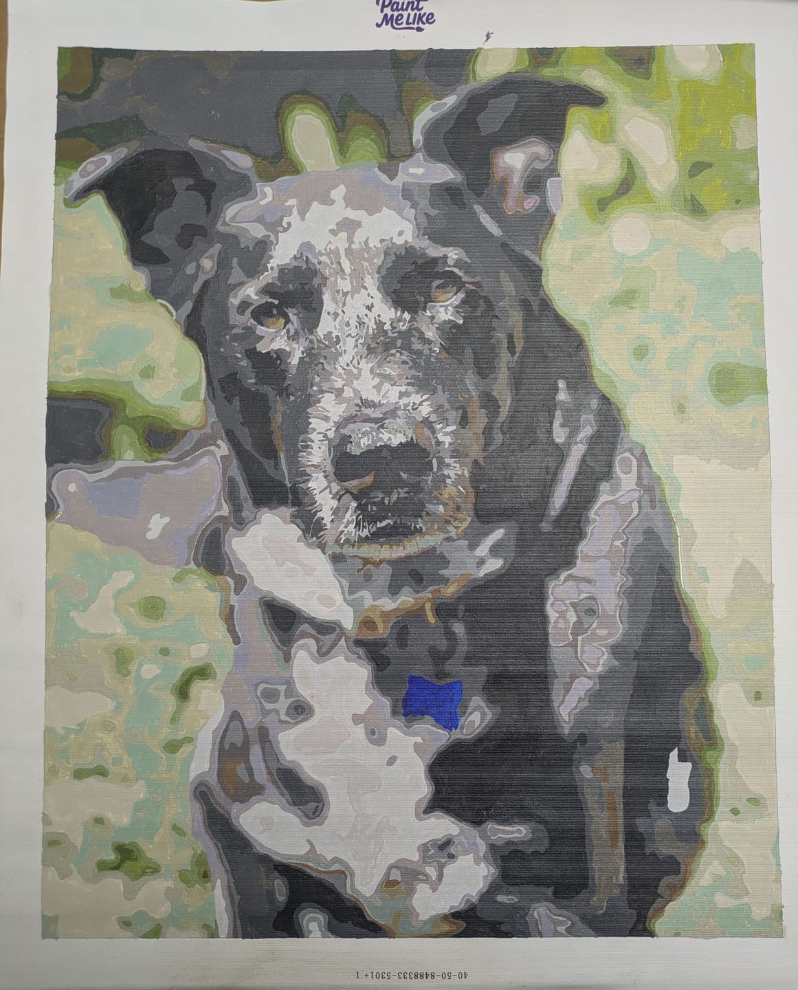 Customer photo review of Custom Paint by Numbers Kit