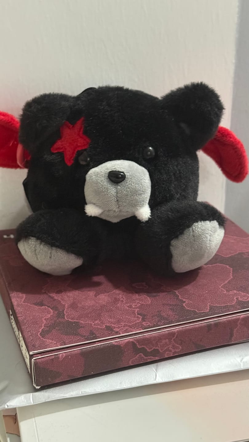 Customer photo review of ENHYPEN - THE SIN : VANISH 7th Mini Album VOICE KEYRING Ver