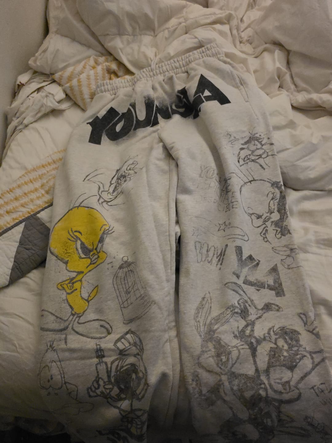 Customer photo review of 2183 - Looney Tunes Squad Sweats