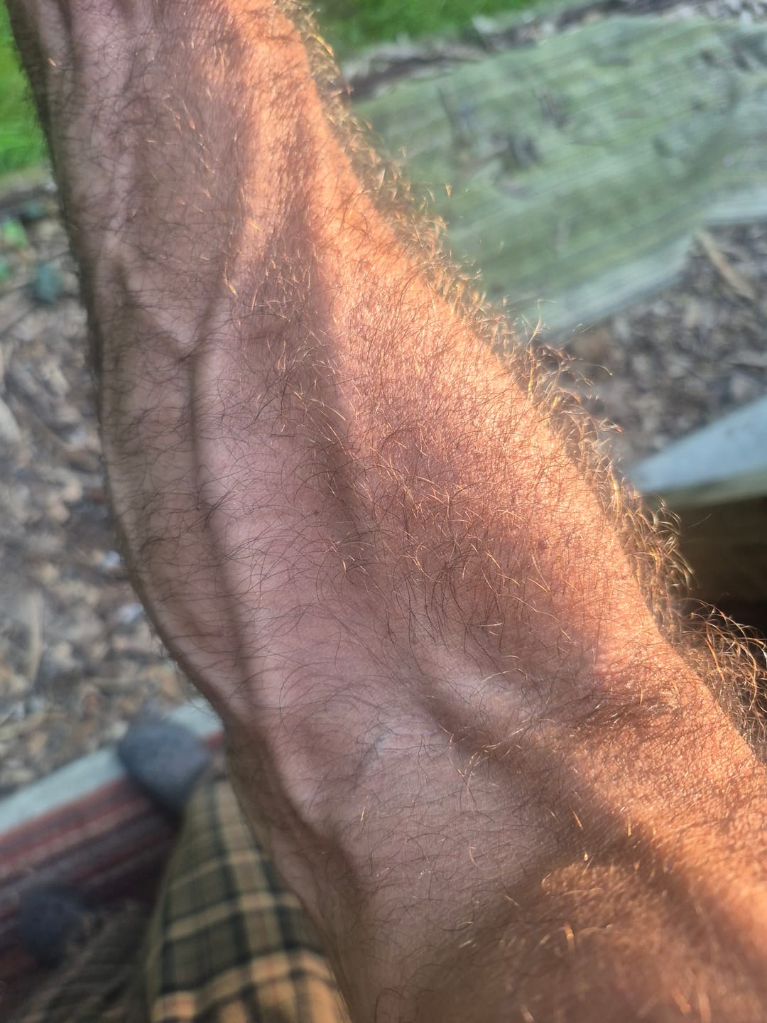 Customer photo review of MYO-GROW