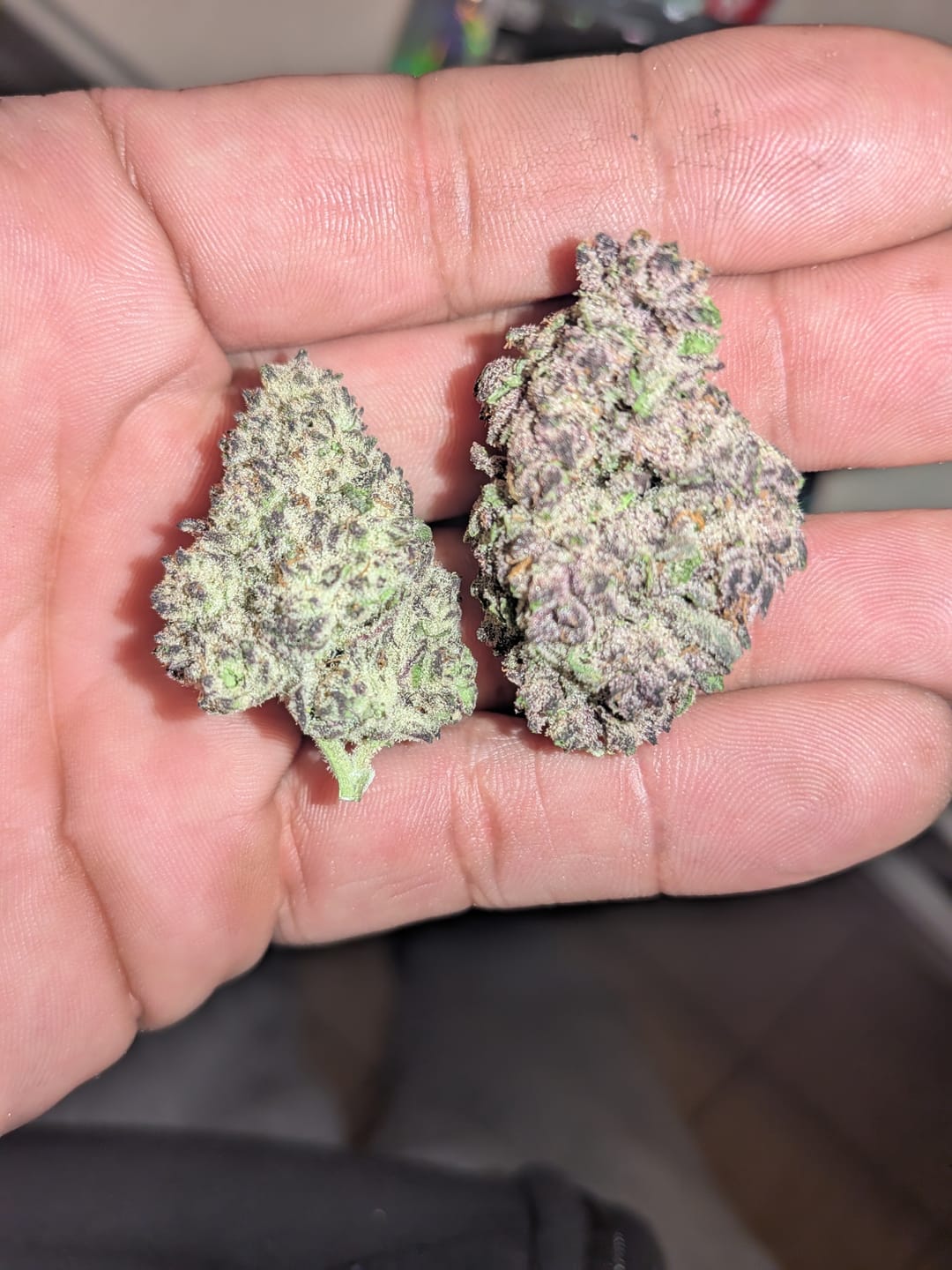 Customer photo review of Cherry Runtz - Indoor
