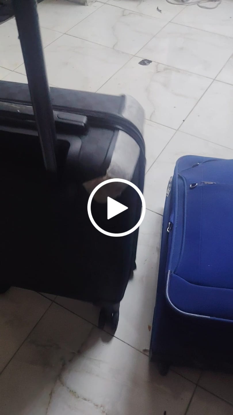 Customer video review of Cabin 2 pcs Checker Monogram-Black