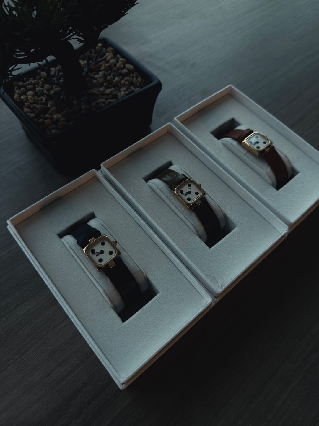 Customer photo review of Dice: Gold/Midnight