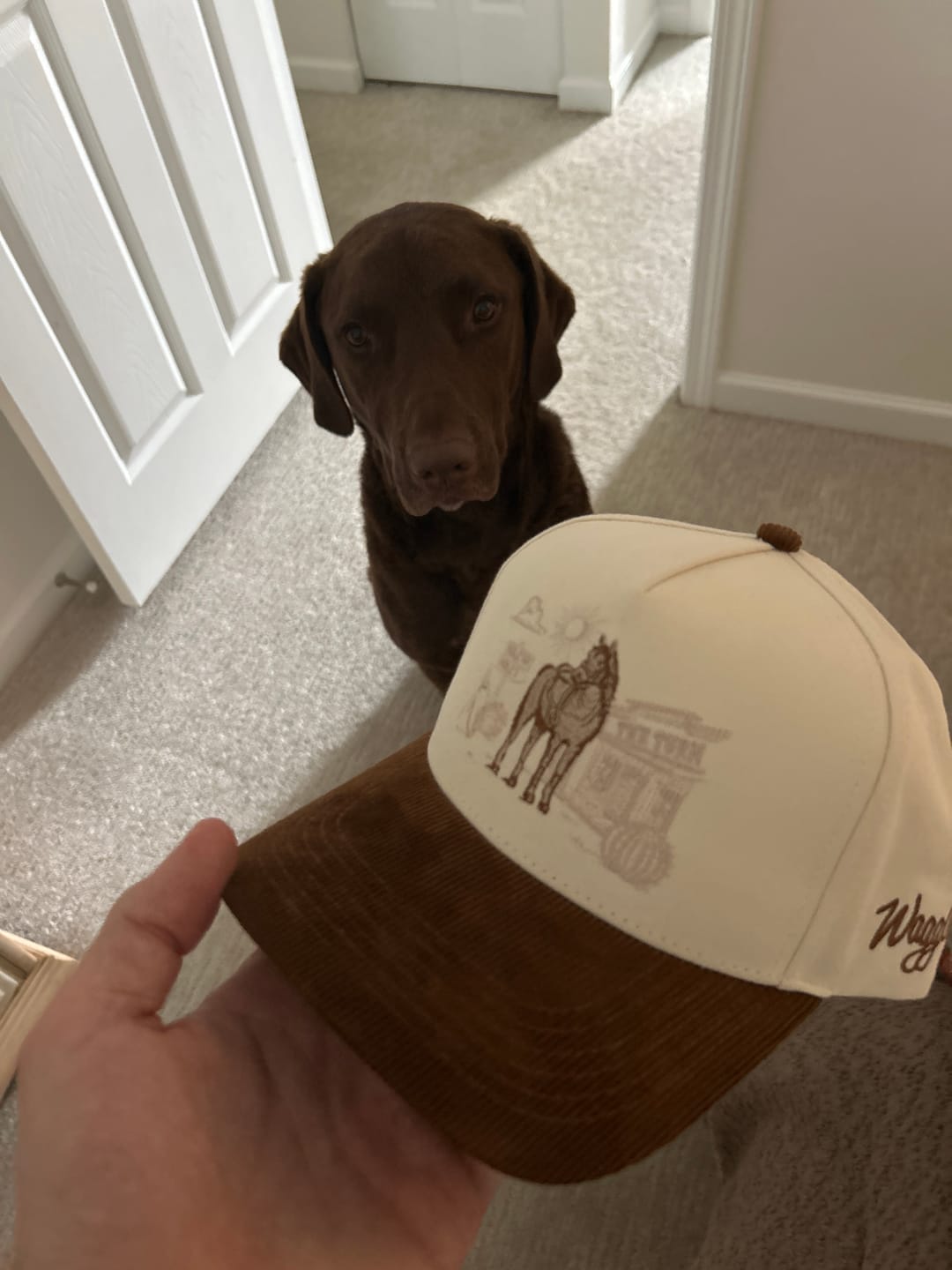 Customer photo review of The Turn Corduroy Brim Hat