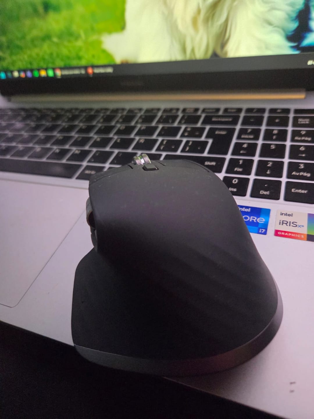 Customer photo review of Mouse Logitech MX Master 3S Grafito