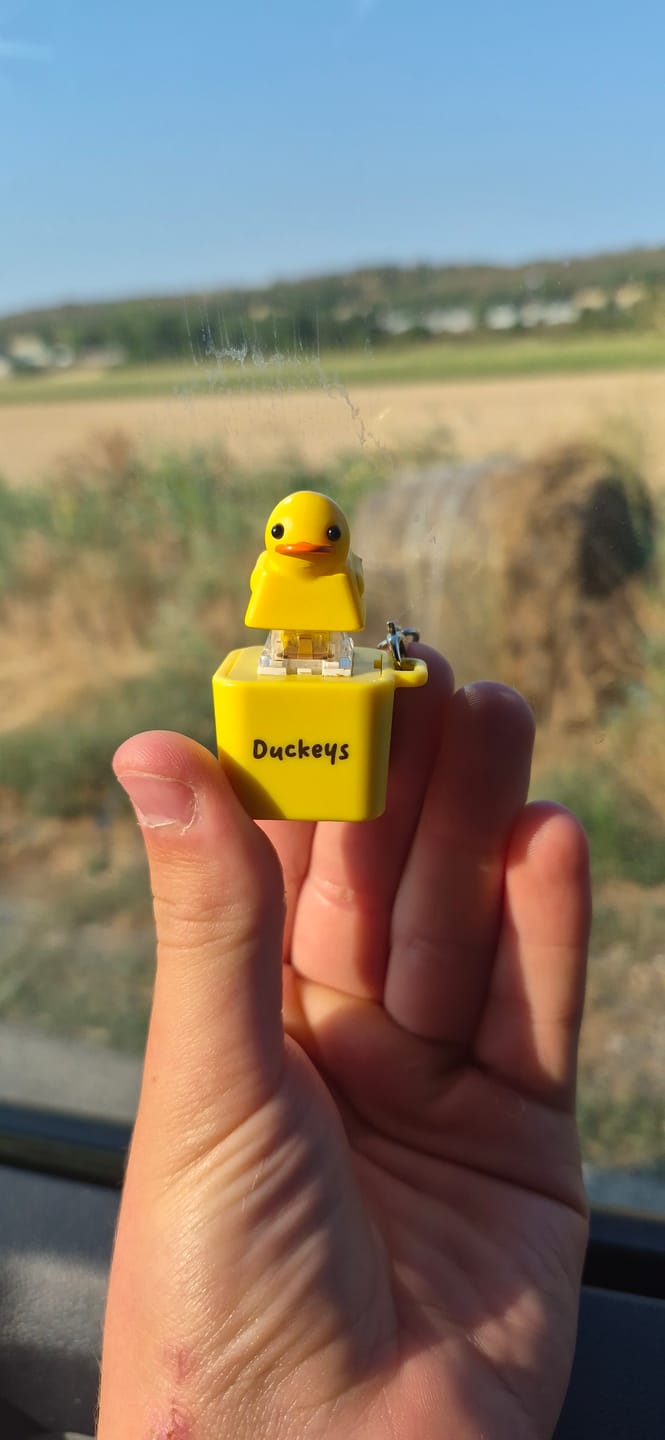 Customer photo review of Quackey - Fidget Toy that Quacks!