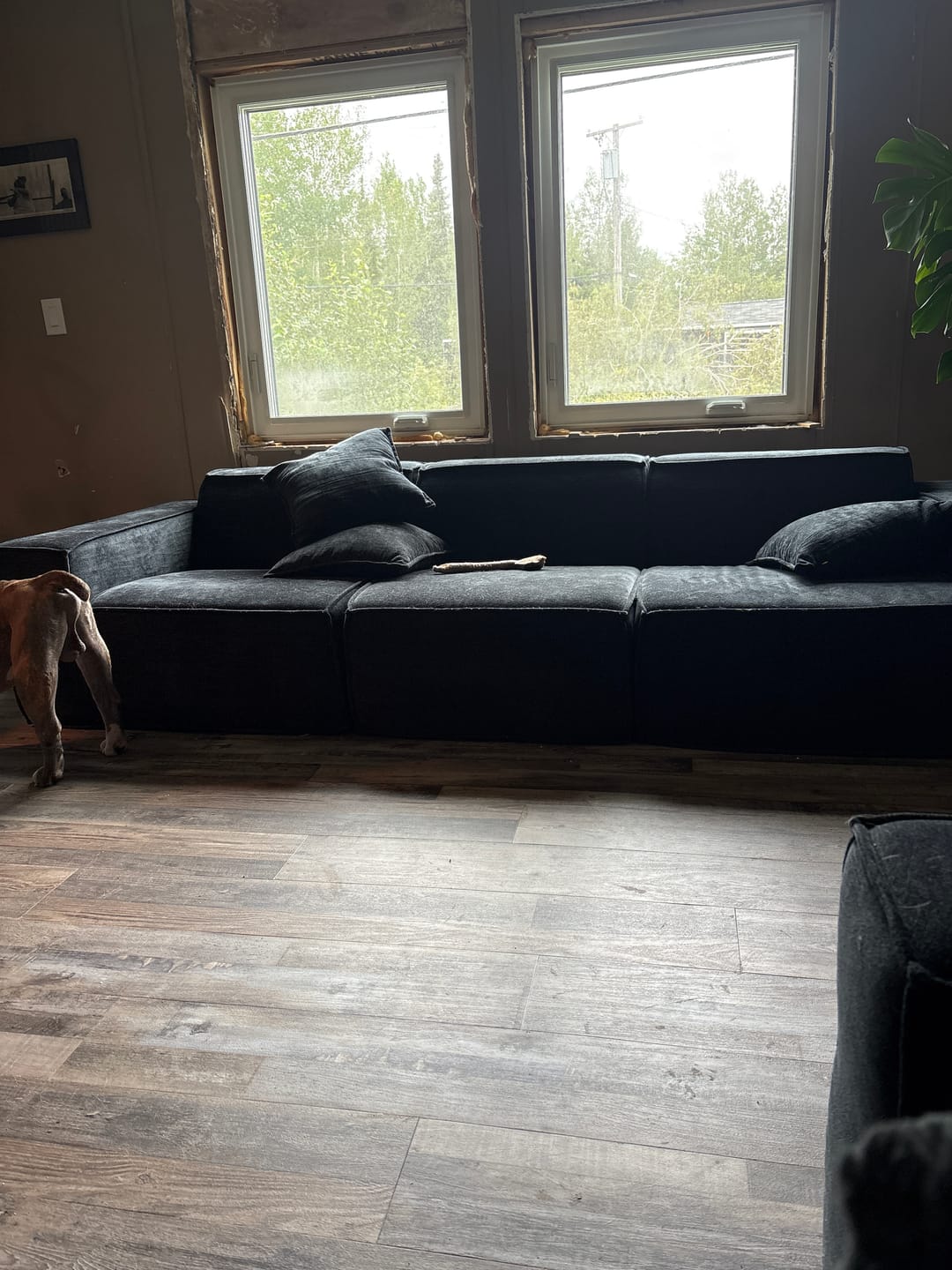 Customer photo review of M1 Sofa Sectional