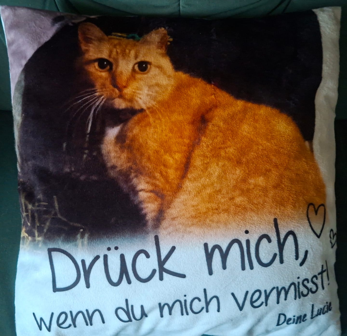 Customer photo review of Personalisiertes Kissen - Drück mich, wenn du mich vermisst