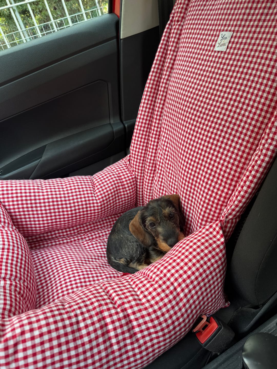 Customer photo review of Seggiolino Auto Cotone Vichy Rosso