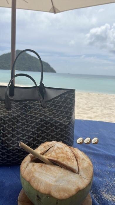 Customer photo review of Vivara Signature Carryall