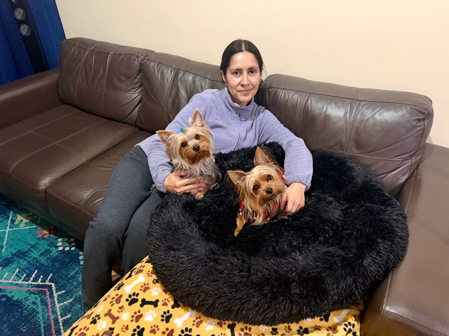 Customer photo review of Cama Anti-Estrés THE DOGS — Menos ansiedad, más descanso