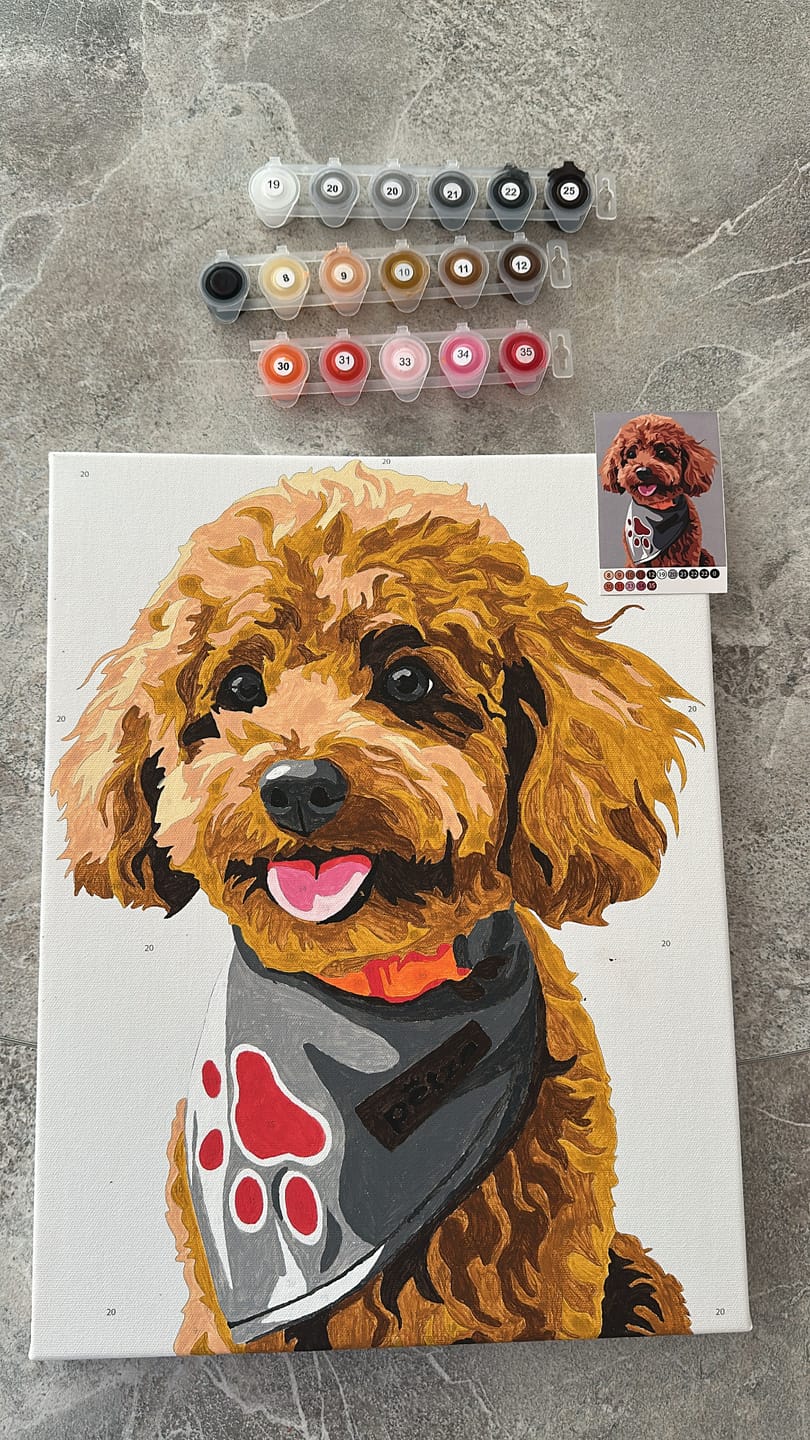 Customer photo review of Kişiye Özel Evcil Hayvan Sayılarla Boyama Seti 35x45 cm