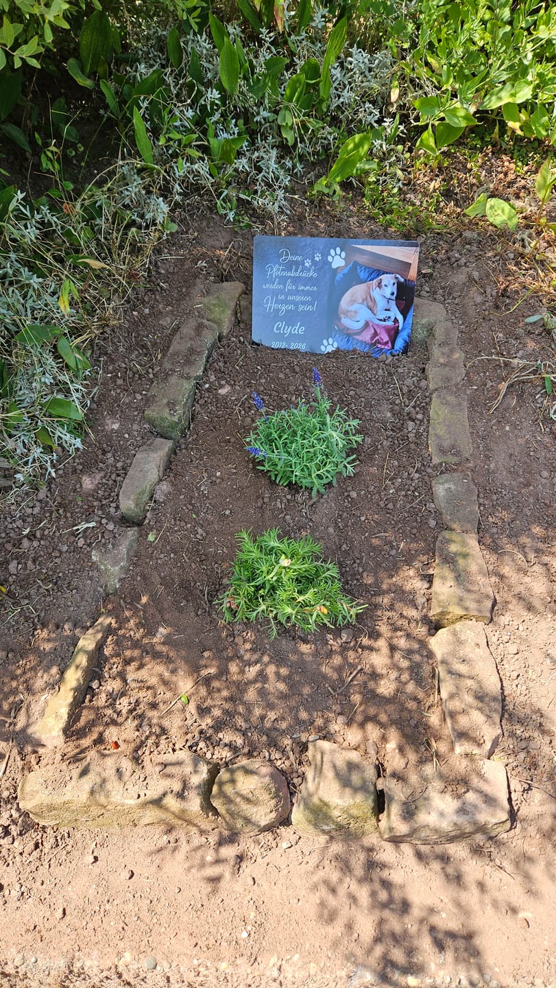 Customer photo review of Hunde Gedenktafel mit Foto & Spruch (UV- &  Wetterfest)
