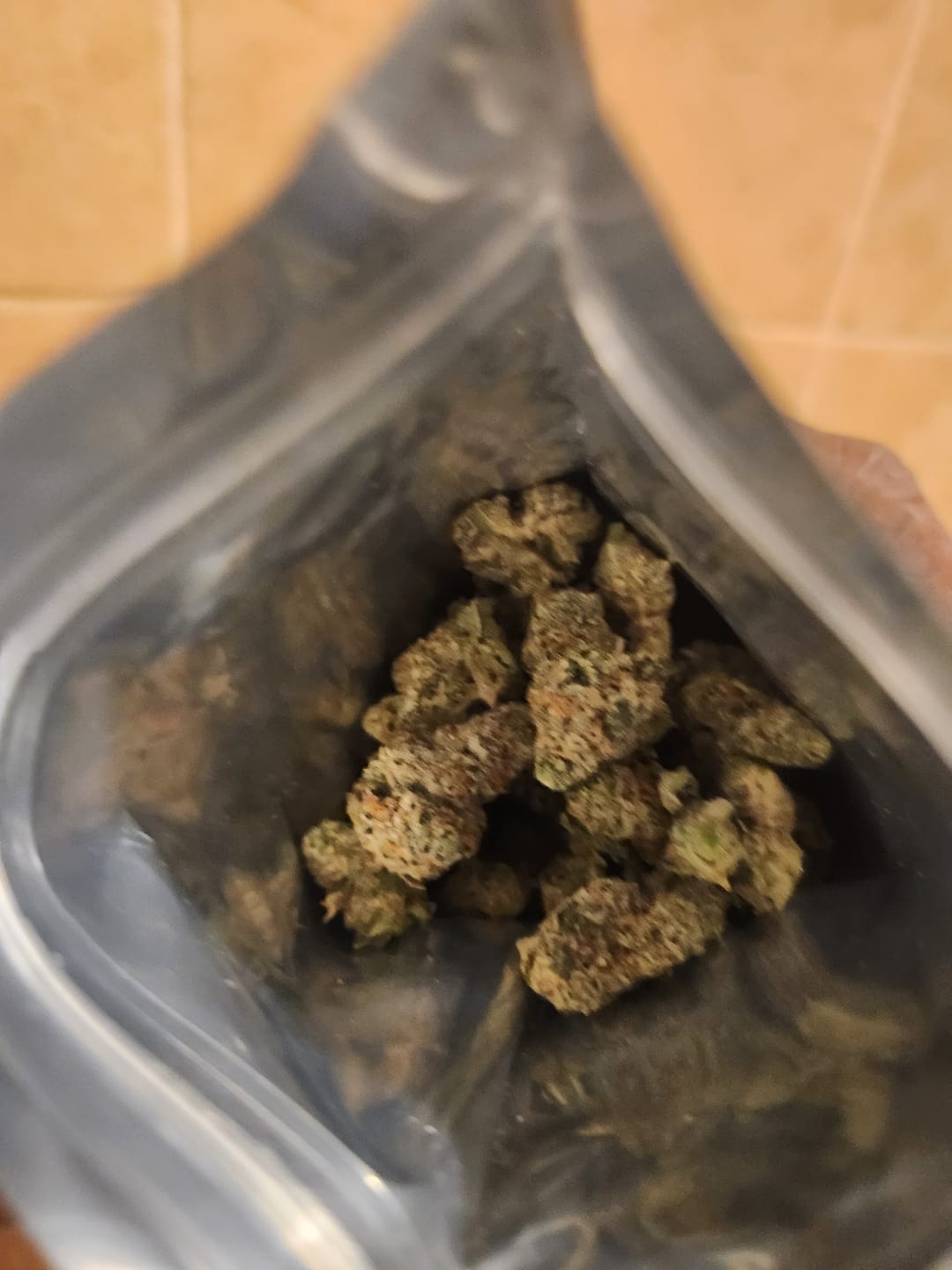 Customer photo review of Georgia Pie THCA Flower (Budget)
