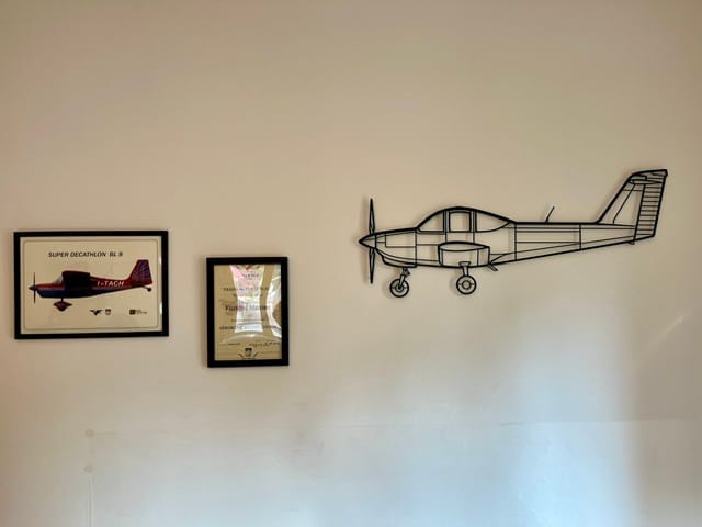 Customer photo review of PA-38 Tomahawk Silhouette Metal Wall Art