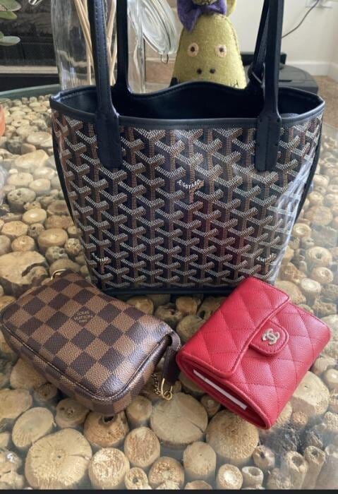 Customer photo review of Veyra Reversible Mini Tote