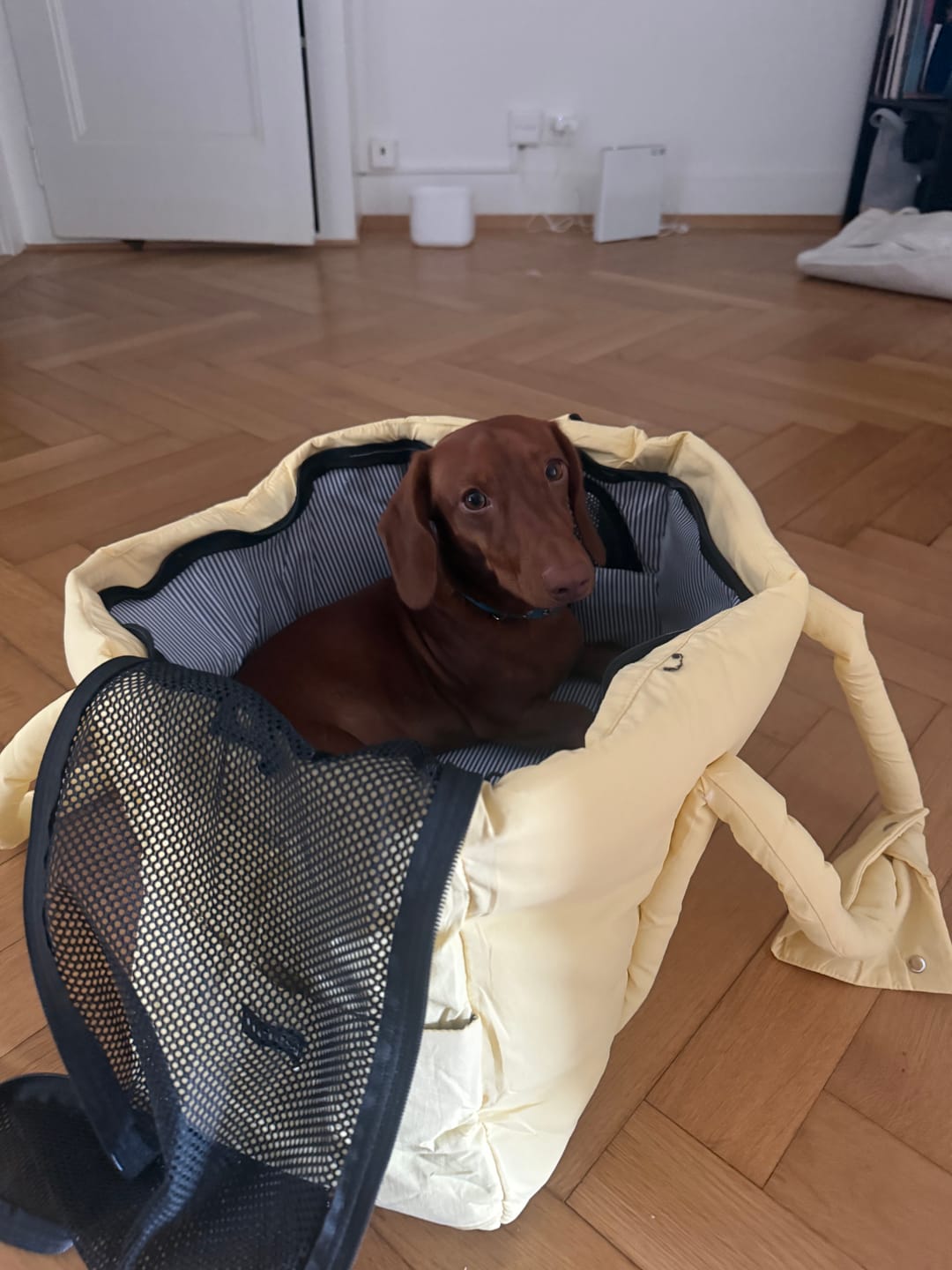 Customer photo review of Sac de voyage - Jaune