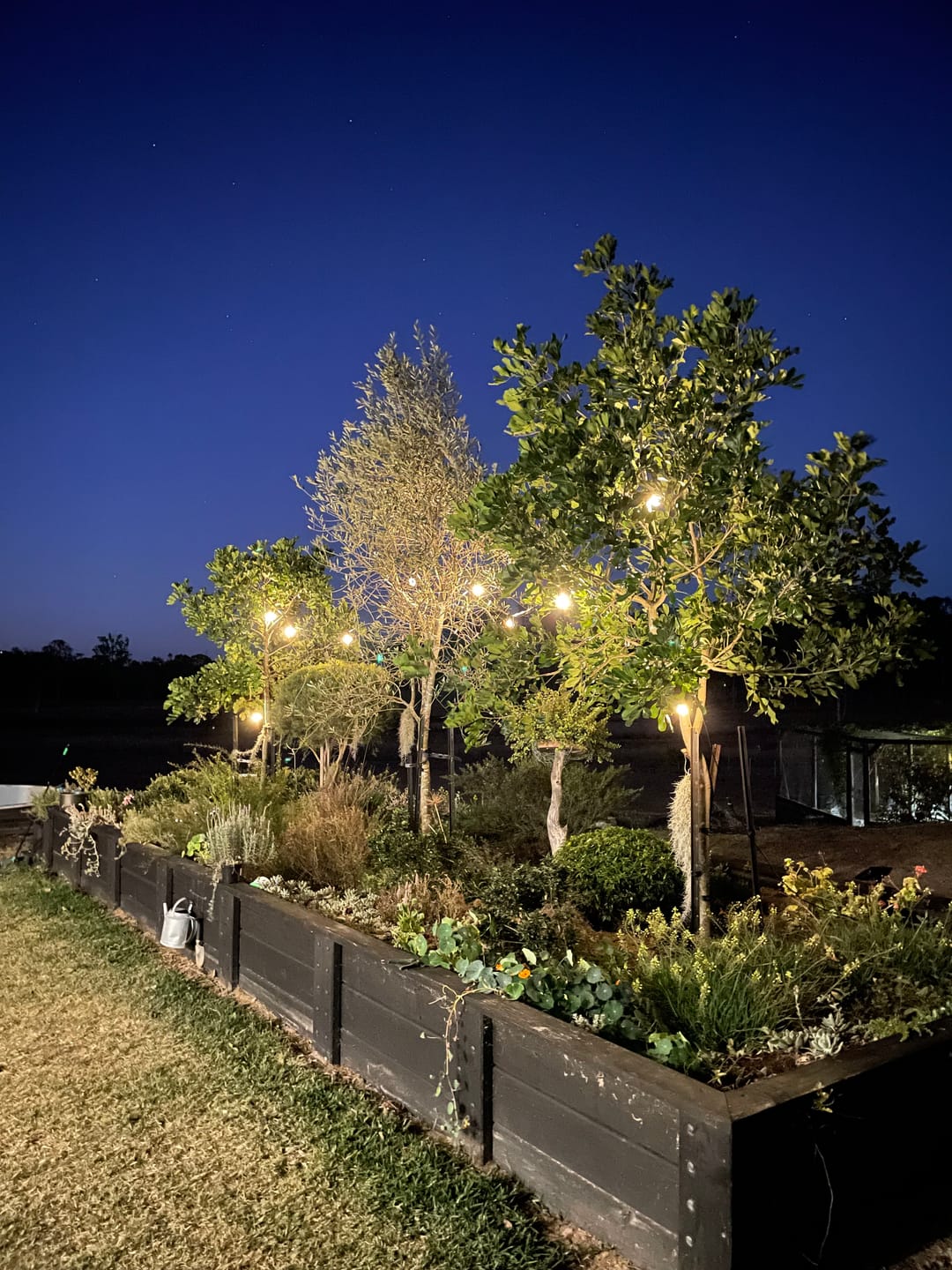 Customer photo review of Premium Solar Bulb String Lights - 33 ft (10m)