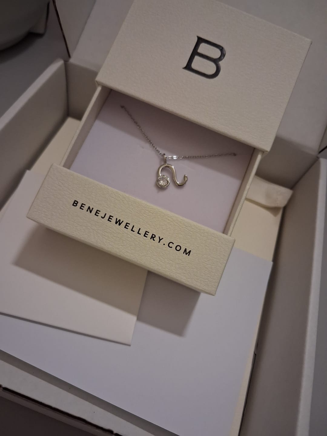 Customer photo review of Zodiac Necklace
