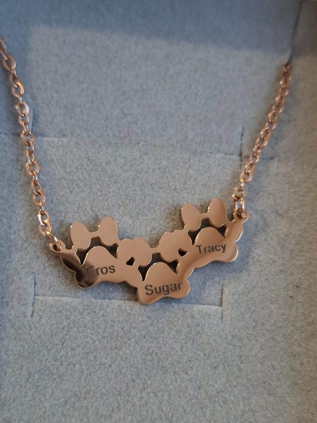 Customer photo review of Collana My Lovin' Pets®