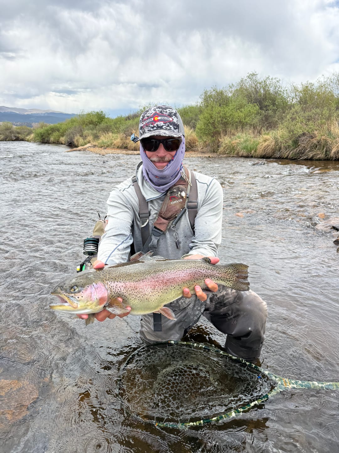 Customer photo review of Lid Rig 3.0