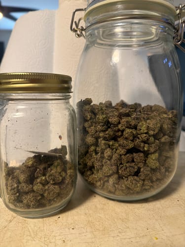 Customer photo review of Bulk Indoor Smalls