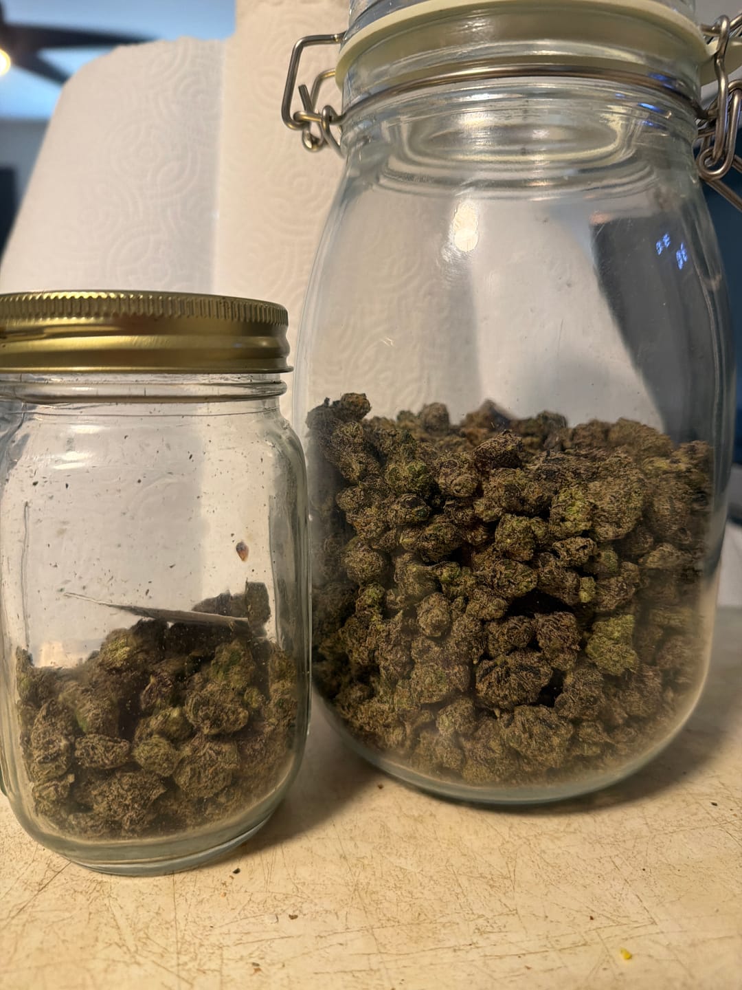 Customer photo review of Bulk Indoor Smalls