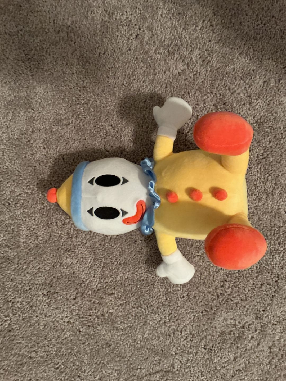 Customer photo review of Kaufmo Plush
