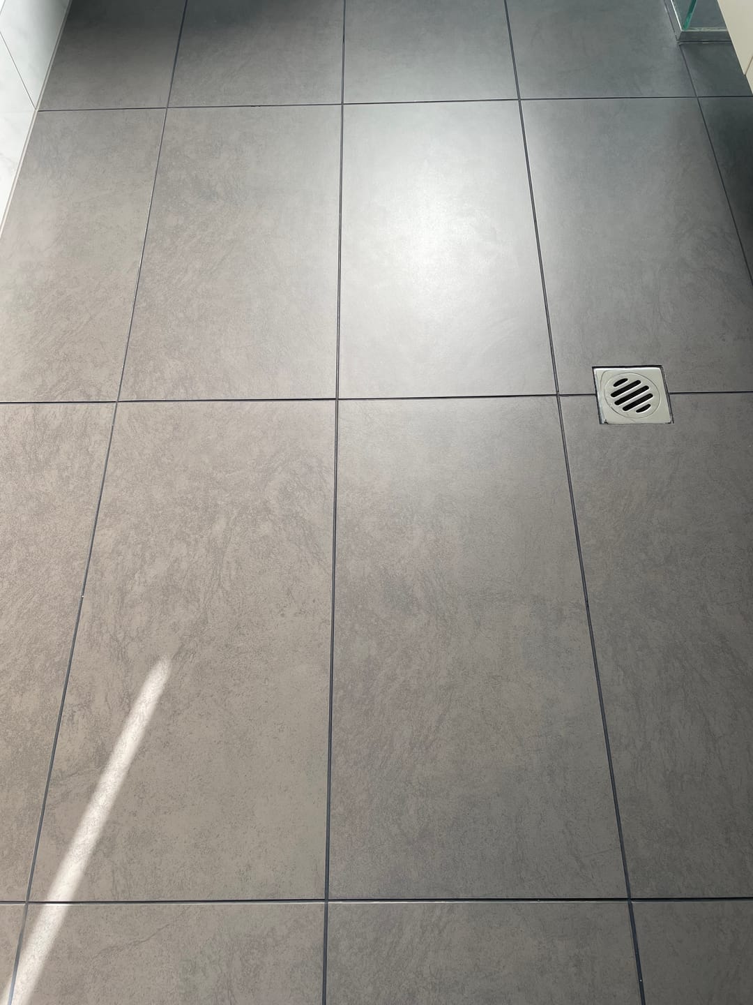 Customer photo review of GLASSGUARD™ Flushable Toilet Cleaning Wipes