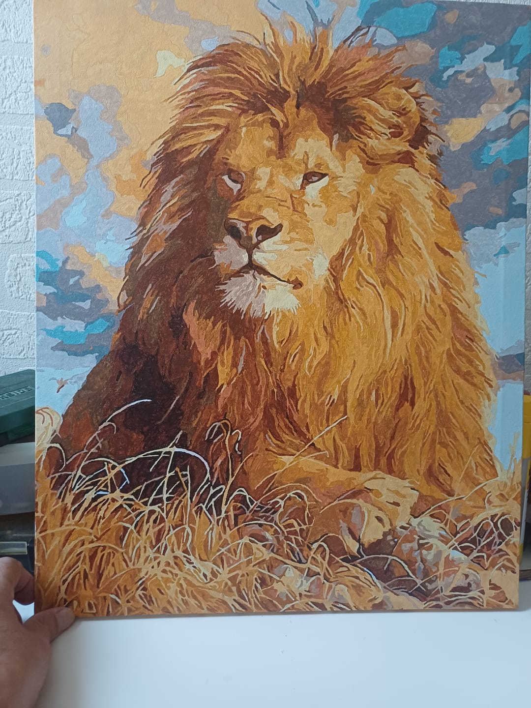 Customer photo review of Le Repos du Lion