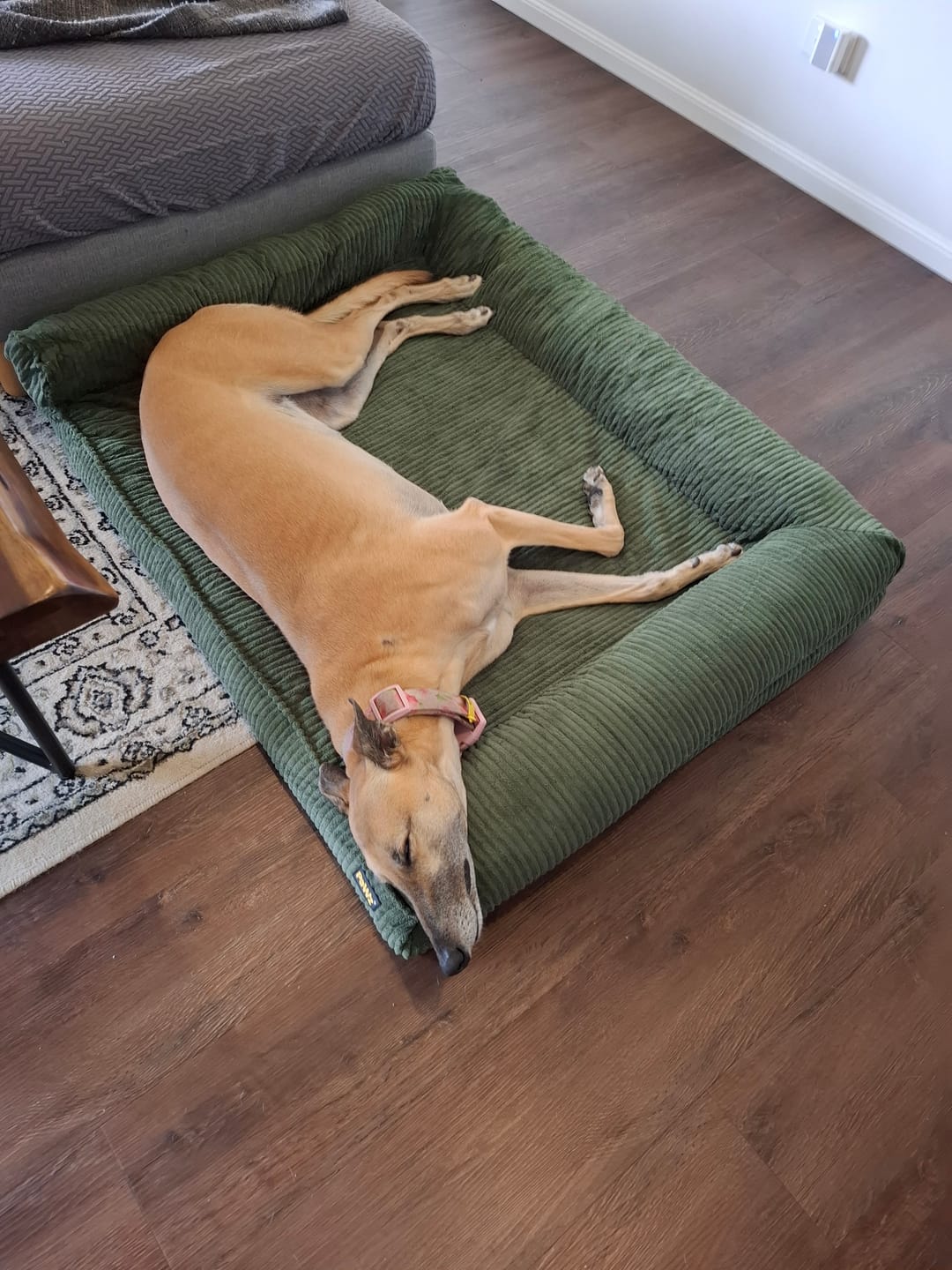 Customer photo review of Pet Bed Non Slip Dog Mat Orthopedic Sofa  Cushion Washable Removable