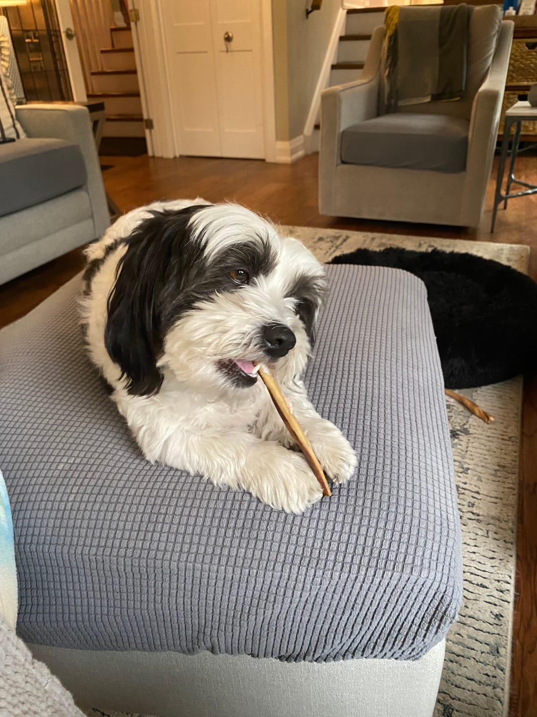 Customer photo review of 6 Inch Beef Jerky Stick