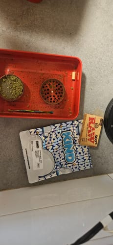 Cherry Abacus™ – Feminized CBD Seeds photo review