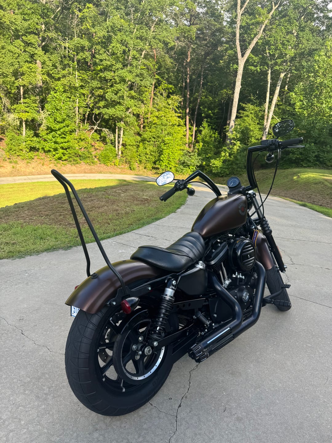 Customer photo review of Iron Born Blade 25" Sissy Bar for Harley Sportster 883 Iron XL883N Matte Black