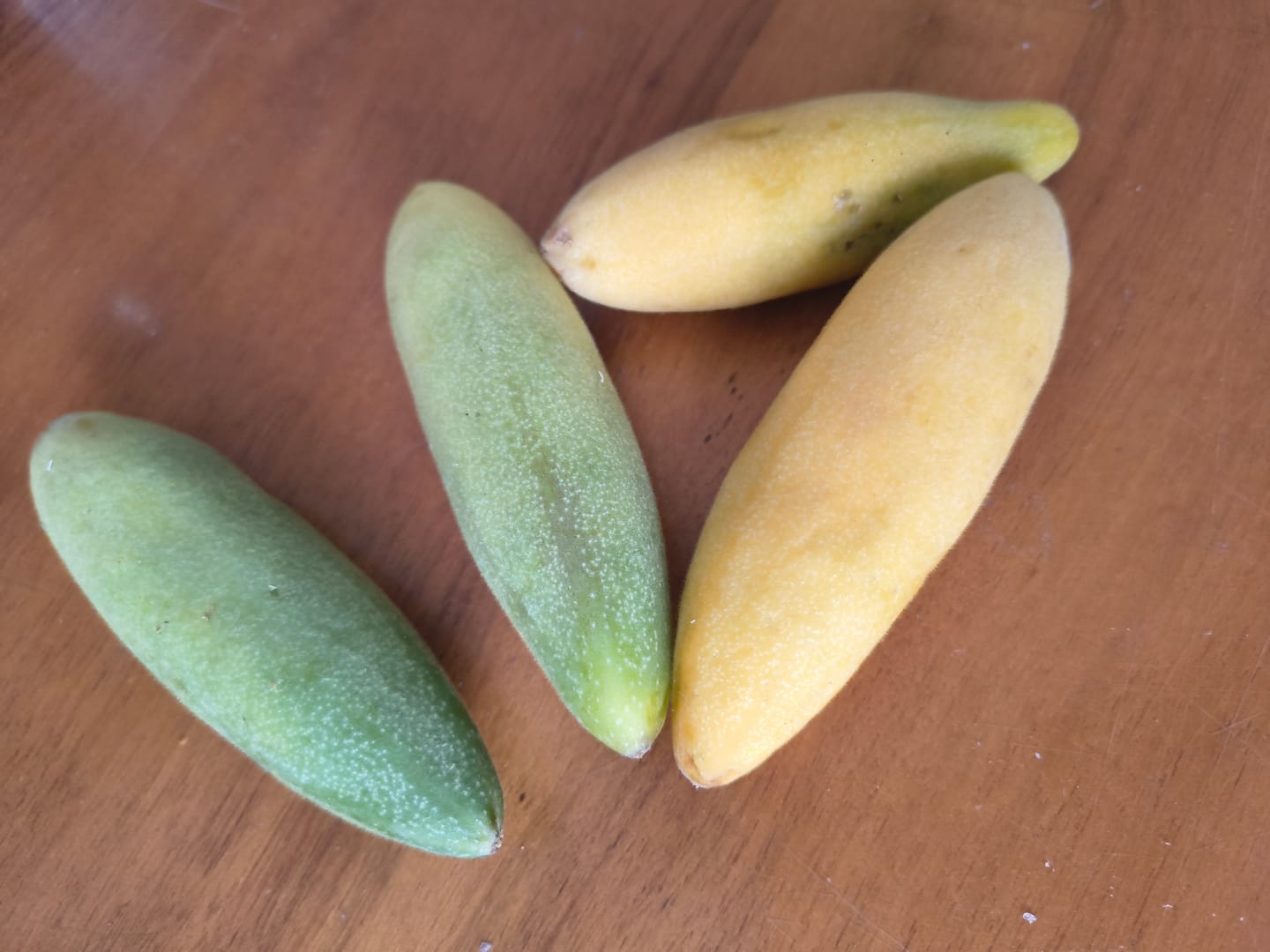 Customer photo review of Curuba (Bananen-Maracuja)
