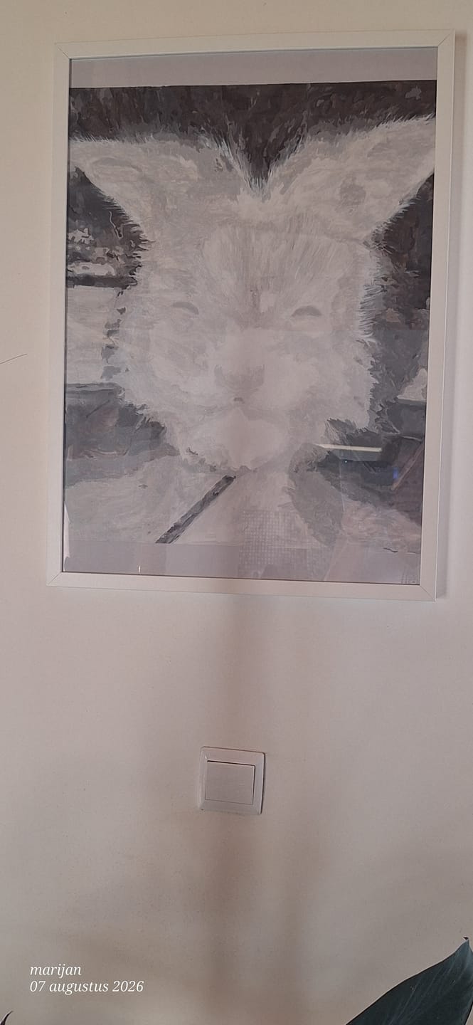 Customer photo review of Paint Your Photo