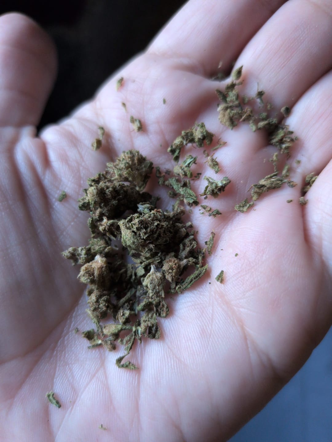 Customer photo review of Purple Kush - Minis - 28 Grams - Indica