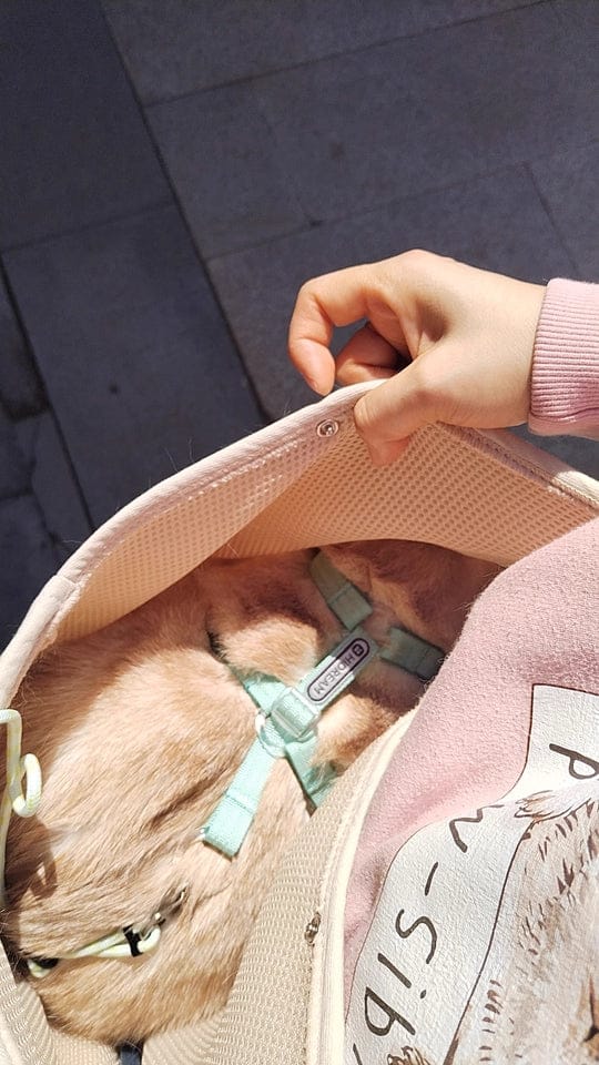 Customer photo review of Portable Pet Sling Carrier Bag With Pocket