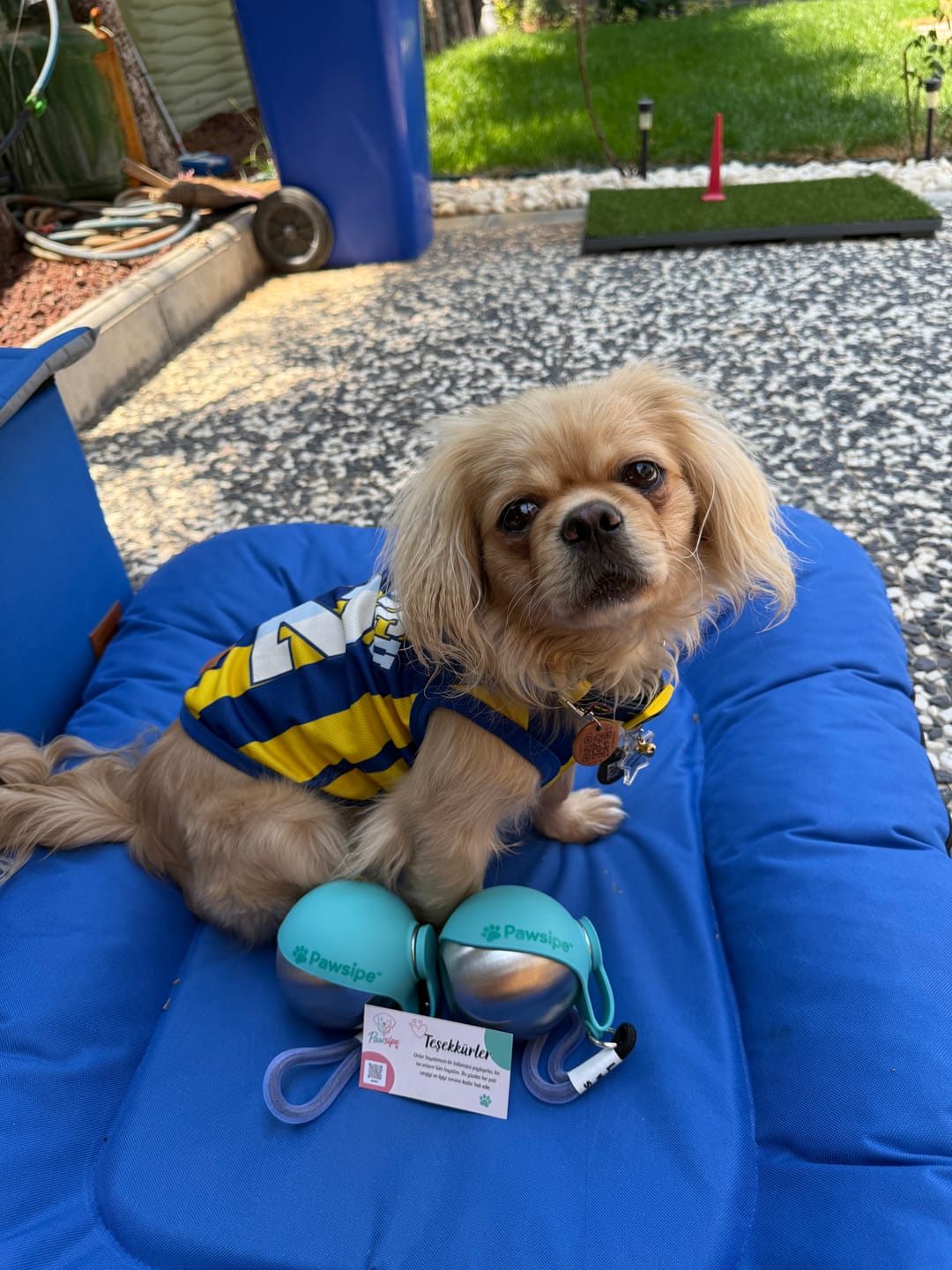 Customer photo review of Pawsipe™ 2'si 1 Arada Köpek Yürüyüş Matarası